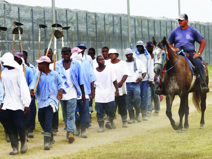 Angola state penitentiary jobs