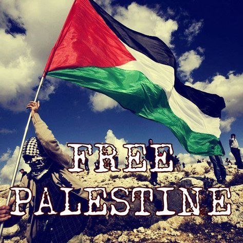 free palestine