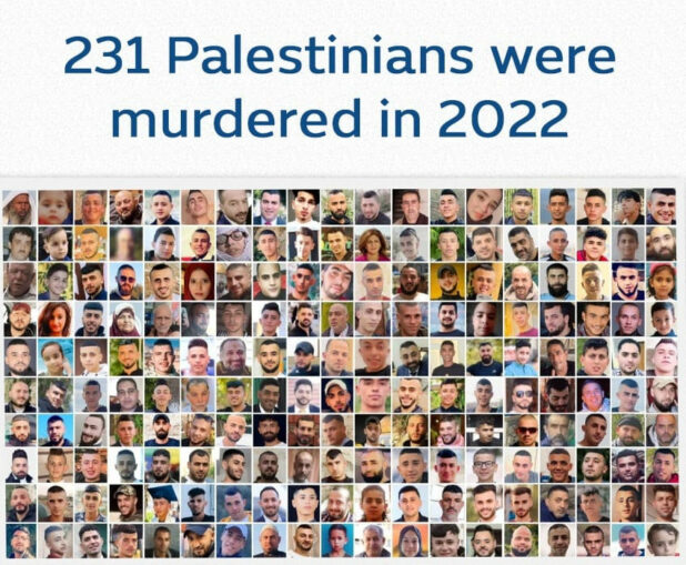 The Zionist regime murdered over 230 Palestinians last year.. (Source: Palestine Online)