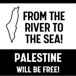 Solidarity with the Righteous Palestine Resistance