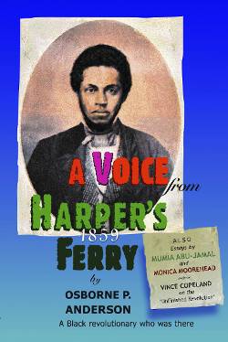 Book Cover: A Voice From Harpers Ferry