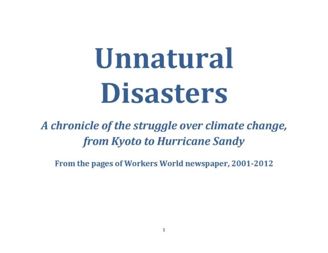Book Cover: Unnatural disasters
