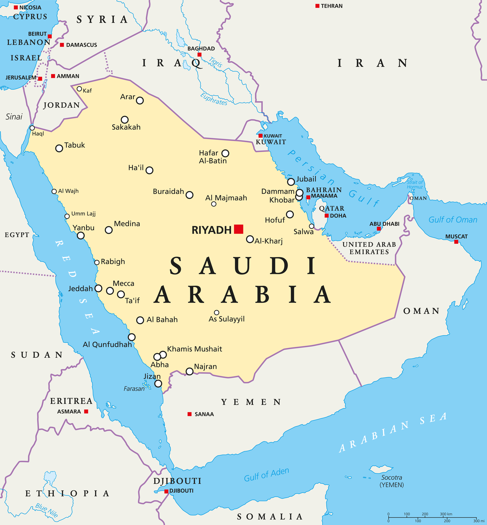 Saudi moves threaten wider war – Workers World