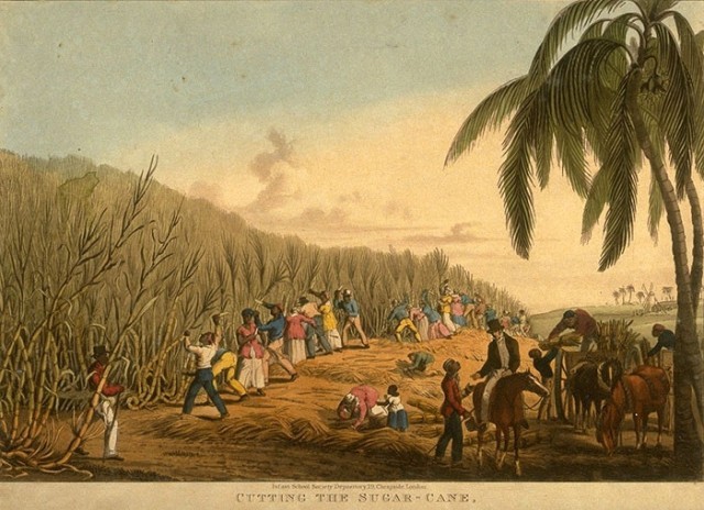 A sugar plantation in 1823.